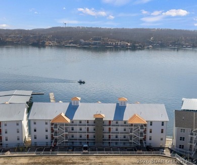 Experience turnkey lakefront living at its finest in this - photo 48