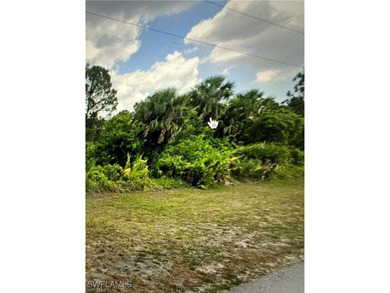 Lehigh Acres Area Lot For Sale in Lehigh Acres Florida