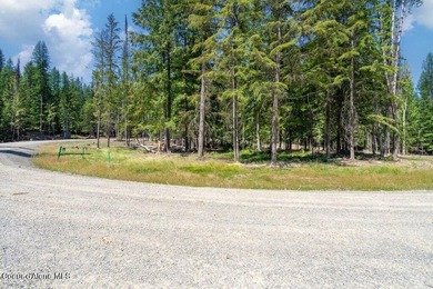 Welcome to The Mountain Vista, a beautifully designed retreat - photo 27
