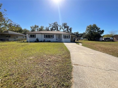 Lake Ariana Home For Sale in Auburndale Florida