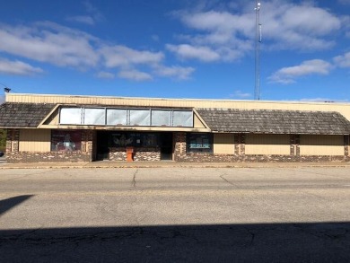 Lake Commercial For Sale in Hesperia, Michigan