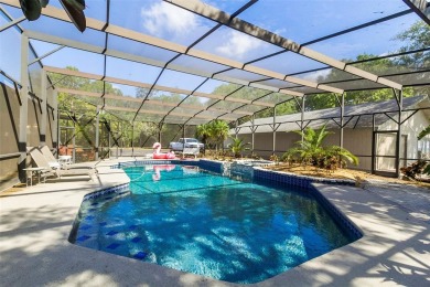Bring your horses, cars, RV, boat, and jet skis! This - photo 20