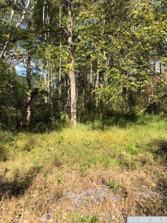 Lake Lot Off Market in Athens, New York