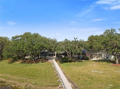 Bring your horses, cars, RV, boat, and jet skis! This - photo 25