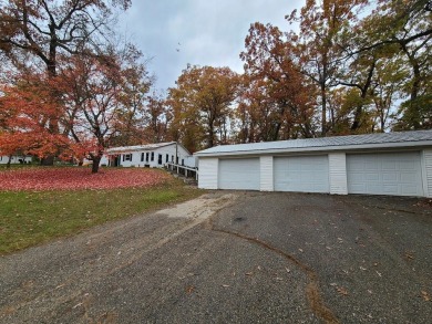 Mench Lake Home For Sale in Baldwin Michigan