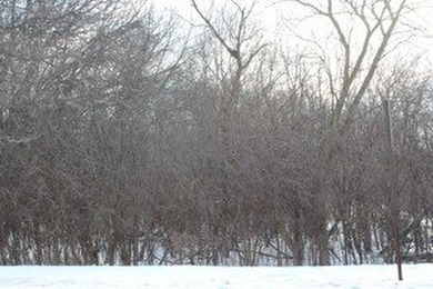 Chain O Lakes - Long Lake Lot For Sale in Round Lake Beach Illinois