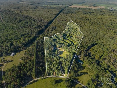 Lake Home For Sale in Metter, Georgia