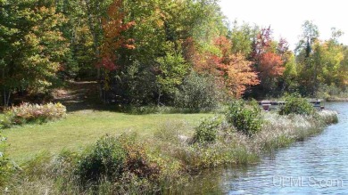 Lake Acreage Sale Pending in Crystal Falls, Michigan