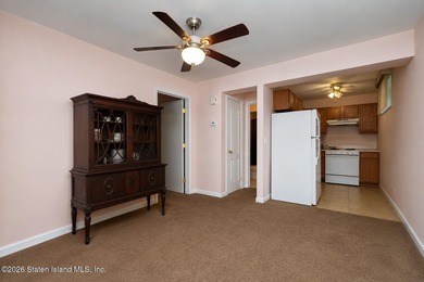 This gorgeous 2-family, 4-bedroom, 3-bathroom, side-hall - photo 37