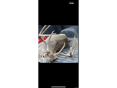 (private lake, pond, creek) Acreage For Sale in Johnsville Arkansas