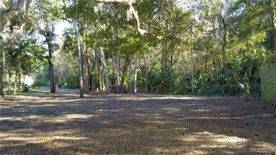 Homosassa River Lot For Sale in Homosassa Florida