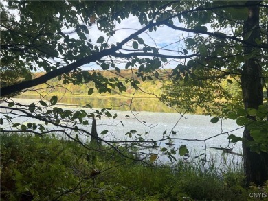 (private lake, pond, creek) Acreage For Sale in Freetown New York