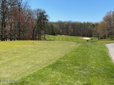 Opportunity to lock up a golf front choice property on the - photo 5