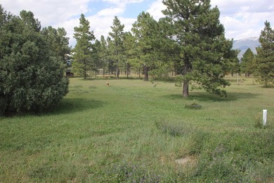 A pet boarding business with a home on 6.7 acres close to Angel - photo 11