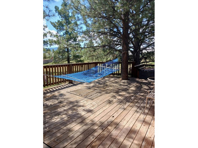 A pet boarding business with a home on 6.7 acres close to Angel - photo 17