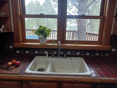 A pet boarding business with a home on 6.7 acres close to Angel - photo 28