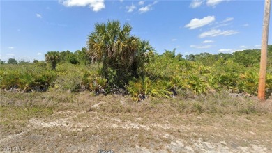 Lehigh Acres Area Lot For Sale in Lehigh Acres Florida