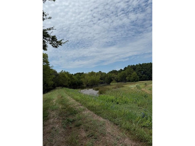 (private lake, pond, creek) Acreage For Sale in Clarksville Texas