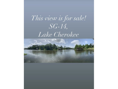 Have your cake and eat it too! Great price and beautiful updates. - Lake Acreage For Sale in Henderson, Texas