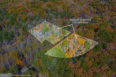 Lake Lot For Sale in Blue Ridge, Georgia