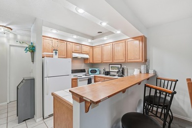 Welcome to this beautiful FULLY FURNISHED Lakewood Hills condo - photo 12