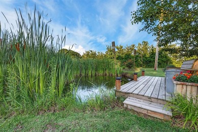 Tiny home on 3 plus acres. Park like setting. Very private - photo 20