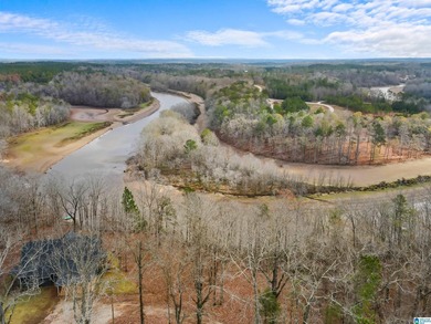 Lake Wedowee / RL Harris Reservoir Home For Sale in Newell Alabama