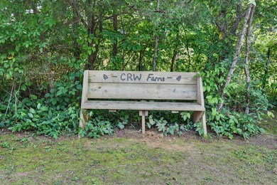 Tiny home on 3 plus acres. Park like setting. Very private - photo 23