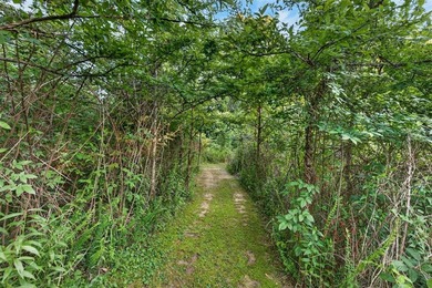 Tiny home on 3 plus acres. Park like setting. Very private - photo 24