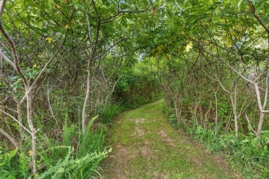 Tiny home on 3 plus acres. Park like setting. Very private - photo 26