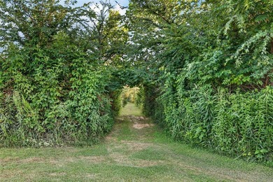 Tiny home on 3 plus acres. Park like setting. Very private - photo 27