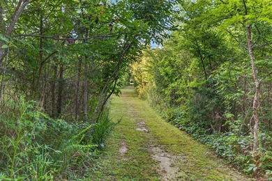 Tiny home on 3 plus acres. Park like setting. Very private - photo 28