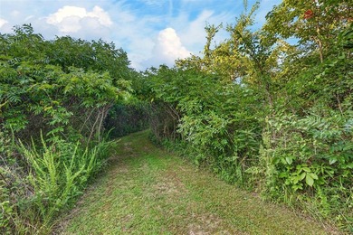 Tiny home on 3 plus acres. Park like setting. Very private - photo 29