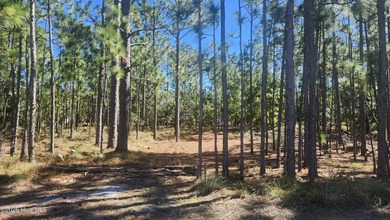 Boiling Spring Lake Lot For Sale in Southport North Carolina