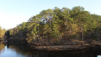 Lake Lot For Sale in Wedowee, Alabama