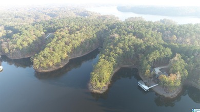 Lake Lot For Sale in Wedowee, Alabama