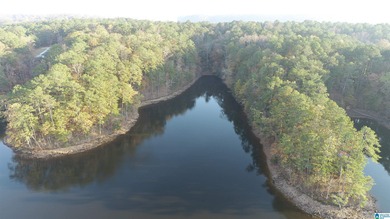 Lake Wedowee / RL Harris Reservoir Lot For Sale in Wedowee Alabama