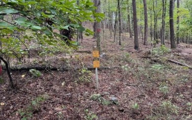 Lake Acreage For Sale in Mount Ida, Arkansas