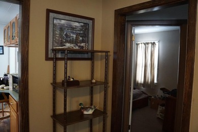 Nice little home in Littlefork with spacious garage/shop in the - photo 11
