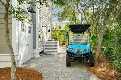 Welcome to the gated Hammocks at Seagrove Beach, located just a - photo 27