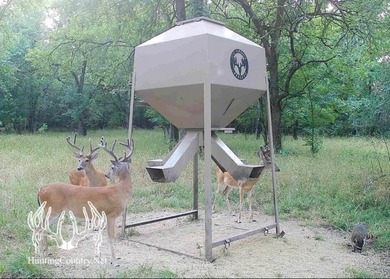 This Southeastern Oklahoma Ranch on the Little River offers a - photo 4