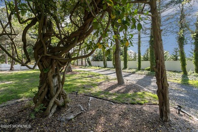 A True Waterfront Unicorn in Toms River! Discover over 2.5 acres - photo 50