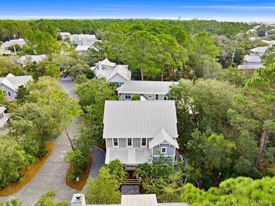 Welcome to the gated Hammocks at Seagrove Beach, located just a - photo 52