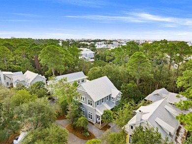 Welcome to the gated Hammocks at Seagrove Beach, located just a - photo 53