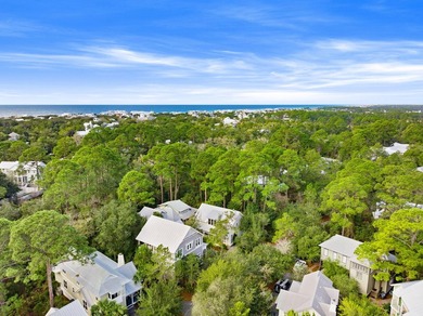 Welcome to the gated Hammocks at Seagrove Beach, located just a - photo 54