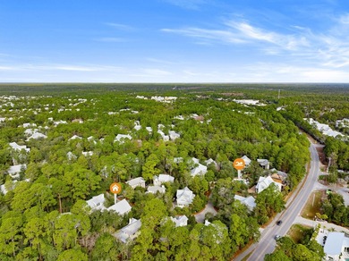 Welcome to the gated Hammocks at Seagrove Beach, located just a - photo 58