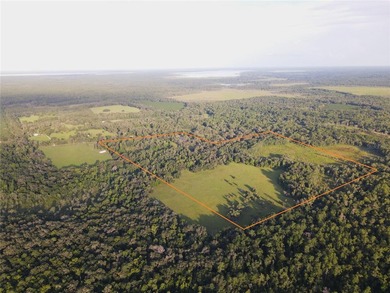 (private lake, pond, coastal) Home For Sale in Micanopy Florida