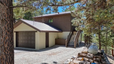 Twin Lakes Reservoir Home For Sale in Twin Lakes Colorado
