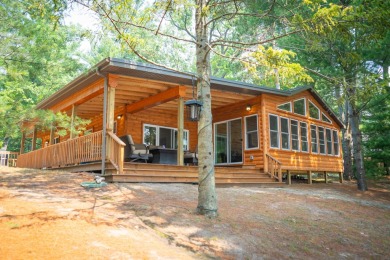 Lake Home For Sale in Fountain, Michigan