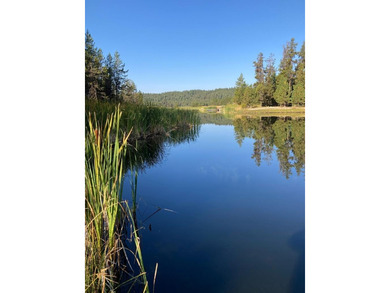 GORGEOUS LAKEFRONT 4 ACRE PARCEL WITH PRIVATE DOCK RIGHTS! Rare - photo 12